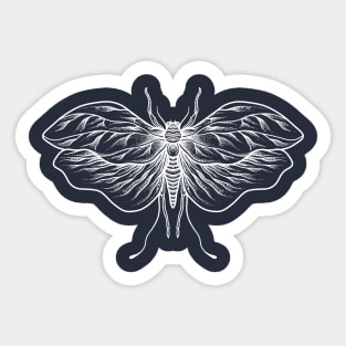 Insect opat Sticker